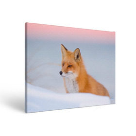 Холст прямоугольный с принтом Morning в Тюмени, 100% ПВХ |  | Тематика изображения на принте: fox | red | лиса | лисенок | рыжая