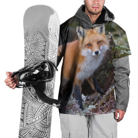 Накидка на куртку 3D с принтом Лес в Тюмени, 100% полиэстер |  | Тематика изображения на принте: fox | red | лиса | лисенок | рыжая