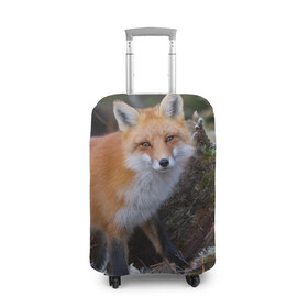 Чехол для чемодана 3D с принтом Лес в Тюмени, 86% полиэфир, 14% спандекс | двустороннее нанесение принта, прорези для ручек и колес | fox | red | лиса | лисенок | рыжая