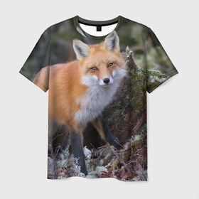 Мужская футболка 3D с принтом Лес в Тюмени, 100% полиэфир | прямой крой, круглый вырез горловины, длина до линии бедер | fox | red | лиса | лисенок | рыжая