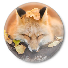 Значок с принтом Соня в Тюмени,  металл | круглая форма, металлическая застежка в виде булавки | Тематика изображения на принте: fox | red | лиса | лисенок | рыжая