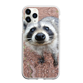 Чехол для iPhone 11 Pro Max матовый с принтом Носик енота в Тюмени, Силикон |  | барсук | добрый | енот | животное | зверек | зверь | красивый | крошка | милое | милый | полоски серые | полоскун | прикольный | природа | скунс | усатый | фауна | флора | хищник | черный | шерсть