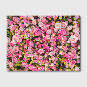 Альбом для рисования с принтом Розовый рай в Тюмени, 100% бумага
 | матовая бумага, плотность 200 мг. | Тематика изображения на принте: бутон | лепестки | роза | розовый | розочка | цветок | цветы