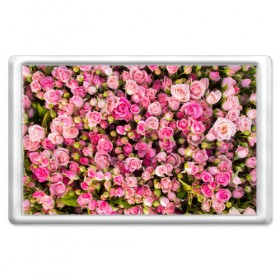 Магнит 45*70 с принтом Розовый рай в Тюмени, Пластик | Размер: 78*52 мм; Размер печати: 70*45 | бутон | лепестки | роза | розовый | розочка | цветок | цветы
