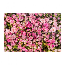 Магнитный плакат 3Х2 с принтом Розовый рай в Тюмени, Полимерный материал с магнитным слоем | 6 деталей размером 9*9 см | Тематика изображения на принте: бутон | лепестки | роза | розовый | розочка | цветок | цветы