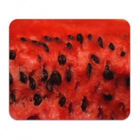 Коврик прямоугольный с принтом Арбуз 3 в Тюмени, натуральный каучук | размер 230 х 185 мм; запечатка лицевой стороны | Тематика изображения на принте: арбуз | еда | косточки | красный | растения | фрукты | ягода