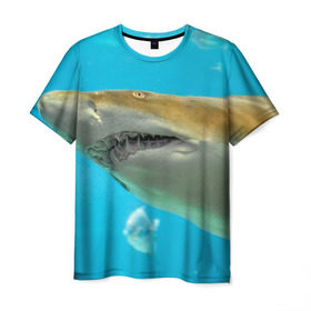 Мужская футболка 3D с принтом Тигровая акула в Тюмени, 100% полиэфир | прямой крой, круглый вырез горловины, длина до линии бедер | голубое море | океан | рыба