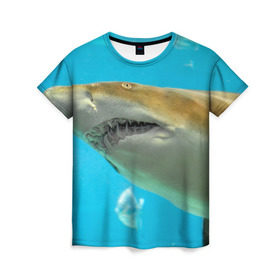 Женская футболка 3D с принтом Тигровая акула в Тюмени, 100% полиэфир ( синтетическое хлопкоподобное полотно) | прямой крой, круглый вырез горловины, длина до линии бедер | Тематика изображения на принте: голубое море | океан | рыба
