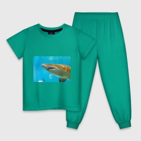 Детская пижама хлопок с принтом Тигровая акула в Тюмени, 100% хлопок |  брюки и футболка прямого кроя, без карманов, на брюках мягкая резинка на поясе и по низу штанин
 | Тематика изображения на принте: голубое море | океан | рыба