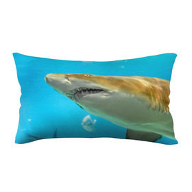 Подушка 3D антистресс с принтом Тигровая акула в Тюмени, наволочка — 100% полиэстер, наполнитель — вспененный полистирол | состоит из подушки и наволочки на молнии | Тематика изображения на принте: голубое море | океан | рыба