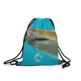 Рюкзак-мешок 3D с принтом Тигровая акула в Тюмени, 100% полиэстер | плотность ткани — 200 г/м2, размер — 35 х 45 см; лямки — толстые шнурки, застежка на шнуровке, без карманов и подкладки | Тематика изображения на принте: голубое море | океан | рыба