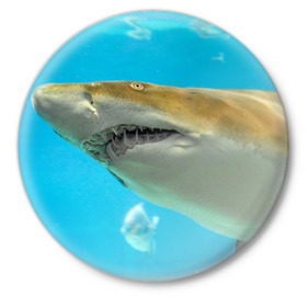 Значок с принтом Тигровая акула в Тюмени,  металл | круглая форма, металлическая застежка в виде булавки | Тематика изображения на принте: голубое море | океан | рыба