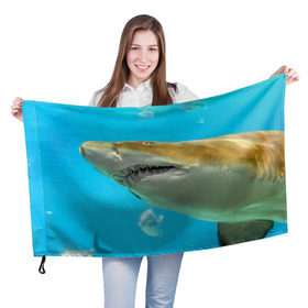 Флаг 3D с принтом Тигровая акула в Тюмени, 100% полиэстер | плотность ткани — 95 г/м2, размер — 67 х 109 см. Принт наносится с одной стороны | Тематика изображения на принте: голубое море | океан | рыба