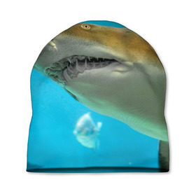 Шапка 3D с принтом Тигровая акула в Тюмени, 100% полиэстер | универсальный размер, печать по всей поверхности изделия | Тематика изображения на принте: голубое море | океан | рыба