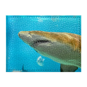 Обложка для студенческого билета с принтом Тигровая акула в Тюмени, натуральная кожа | Размер: 11*8 см; Печать на всей внешней стороне | голубое море | океан | рыба