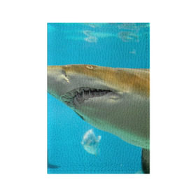 Обложка для паспорта матовая кожа с принтом Тигровая акула в Тюмени, натуральная матовая кожа | размер 19,3 х 13,7 см; прозрачные пластиковые крепления | голубое море | океан | рыба