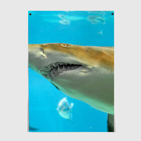 Постер с принтом Тигровая акула в Тюмени, 100% бумага
 | бумага, плотность 150 мг. Матовая, но за счет высокого коэффициента гладкости имеет небольшой блеск и дает на свету блики, но в отличии от глянцевой бумаги не покрыта лаком | голубое море | океан | рыба