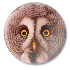 Значок с принтом Кофе в Тюмени,  металл | круглая форма, металлическая застежка в виде булавки | owl | мудрость | птица | сова | филин