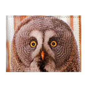 Обложка для студенческого билета с принтом Кофе в Тюмени, натуральная кожа | Размер: 11*8 см; Печать на всей внешней стороне | owl | мудрость | птица | сова | филин