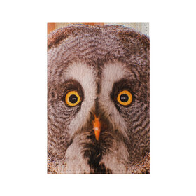 Обложка для паспорта матовая кожа с принтом Кофе в Тюмени, натуральная матовая кожа | размер 19,3 х 13,7 см; прозрачные пластиковые крепления | owl | мудрость | птица | сова | филин