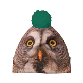 Шапка 3D c помпоном с принтом Кофе в Тюмени, 100% полиэстер | универсальный размер, печать по всей поверхности изделия | owl | мудрость | птица | сова | филин