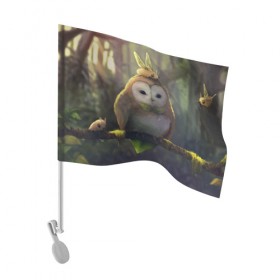 Флаг для автомобиля с принтом Волшебная Сова в Тюмени, 100% полиэстер | Размер: 30*21 см | owl | мудрость | птица | сова | филин