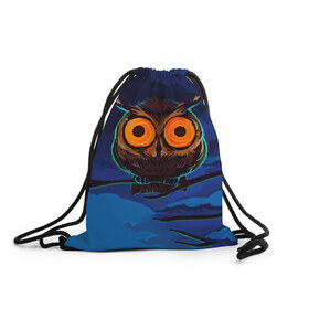 Рюкзак-мешок 3D с принтом Глаза в Тюмени, 100% полиэстер | плотность ткани — 200 г/м2, размер — 35 х 45 см; лямки — толстые шнурки, застежка на шнуровке, без карманов и подкладки | owl | мудрость | птица | сова | филин