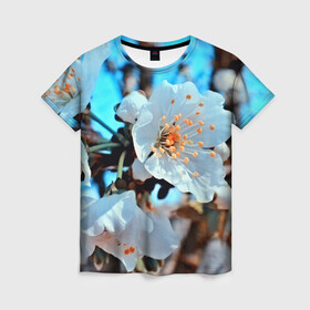 Женская футболка 3D с принтом Весна в Тюмени, 100% полиэфир ( синтетическое хлопкоподобное полотно) | прямой крой, круглый вырез горловины, длина до линии бедер | 3d | flower | весна | другие | красивые цветы | красные | лето | поле | полевой цветок | прикольные | природа | текстуры | цветочки | цветы