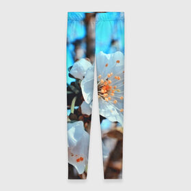 Леггинсы 3D с принтом Весна в Тюмени, 80% полиэстер, 20% эластан | Эластичный пояс, зауженные к низу, низкая посадка | 3d | flower | весна | другие | красивые цветы | красные | лето | поле | полевой цветок | прикольные | природа | текстуры | цветочки | цветы
