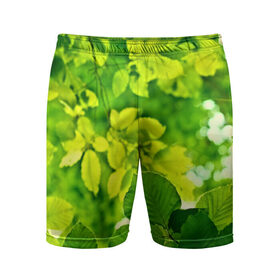 Мужские шорты 3D спортивные с принтом Зелёные листья в Тюмени,  |  | 