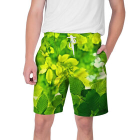 Мужские шорты 3D с принтом Зелёные листья в Тюмени,  полиэстер 100% | прямой крой, два кармана без застежек по бокам. Мягкая трикотажная резинка на поясе, внутри которой широкие завязки. Длина чуть выше колен | Тематика изображения на принте: 