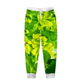 Мужские брюки 3D с принтом Зелёные листья в Тюмени, 100% полиэстер | манжеты по низу, эластичный пояс регулируется шнурком, по бокам два кармана без застежек, внутренняя часть кармана из мелкой сетки | 