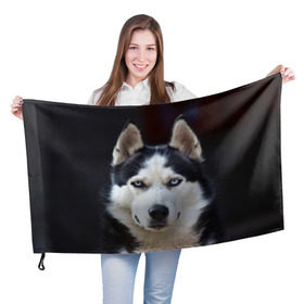 Флаг 3D с принтом Хаски в Тюмени, 100% полиэстер | плотность ткани — 95 г/м2, размер — 67 х 109 см. Принт наносится с одной стороны | dog | лабрадор | мопс | пес | собака | такса | хаски | щеночек