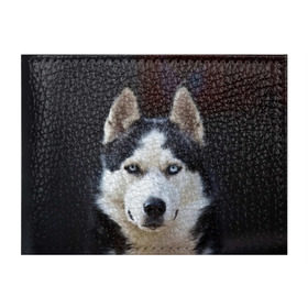 Обложка для студенческого билета с принтом Хаски в Тюмени, натуральная кожа | Размер: 11*8 см; Печать на всей внешней стороне | dog | лабрадор | мопс | пес | собака | такса | хаски | щеночек