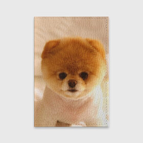 Обложка для паспорта матовая кожа с принтом Пушистик в Тюмени, натуральная матовая кожа | размер 19,3 х 13,7 см; прозрачные пластиковые крепления | dog | пес | померанский | собака | шпиц | щеночек