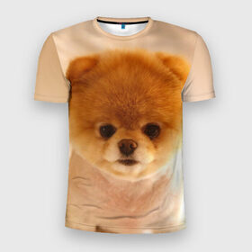 Мужская футболка 3D спортивная с принтом Пушистик в Тюмени, 100% полиэстер с улучшенными характеристиками | приталенный силуэт, круглая горловина, широкие плечи, сужается к линии бедра | dog | пес | померанский | собака | шпиц | щеночек