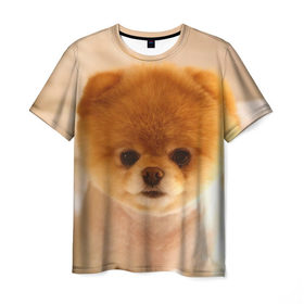 Мужская футболка 3D с принтом Пушистик в Тюмени, 100% полиэфир | прямой крой, круглый вырез горловины, длина до линии бедер | dog | пес | померанский | собака | шпиц | щеночек