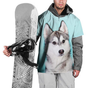 Накидка на куртку 3D с принтом Blue в Тюмени, 100% полиэстер |  | Тематика изображения на принте: dog | бандит | пес | собака | хаски | хаски бандит | щеночек