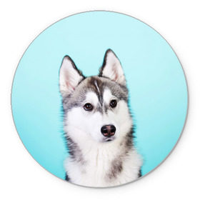 Коврик круглый с принтом Blue в Тюмени, резина и полиэстер | круглая форма, изображение наносится на всю лицевую часть | dog | бандит | пес | собака | хаски | хаски бандит | щеночек