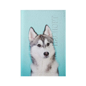 Обложка для паспорта матовая кожа с принтом Blue в Тюмени, натуральная матовая кожа | размер 19,3 х 13,7 см; прозрачные пластиковые крепления | dog | бандит | пес | собака | хаски | хаски бандит | щеночек