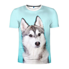 Мужская футболка 3D спортивная с принтом Blue в Тюмени, 100% полиэстер с улучшенными характеристиками | приталенный силуэт, круглая горловина, широкие плечи, сужается к линии бедра | dog | бандит | пес | собака | хаски | хаски бандит | щеночек