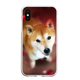 Чехол для iPhone XS Max матовый с принтом Love в Тюмени, Силикон | Область печати: задняя сторона чехла, без боковых панелей | dog | ину | пес | сиба | сиба ину | собака