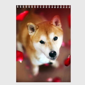 Скетчбук с принтом Love в Тюмени, 100% бумага
 | 48 листов, плотность листов — 100 г/м2, плотность картонной обложки — 250 г/м2. Листы скреплены сверху удобной пружинной спиралью | dog | ину | пес | сиба | сиба ину | собака