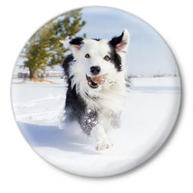 Значок с принтом Snow в Тюмени,  металл | круглая форма, металлическая застежка в виде булавки | Тематика изображения на принте: dog | бордер | бордер колли | колли | пес | собака