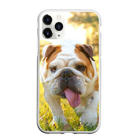 Чехол для iPhone 11 Pro матовый с принтом Funny Dog в Тюмени, Силикон |  | dog | английский бульдог | пес | собака