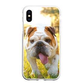 Чехол для iPhone XS Max матовый с принтом Funny Dog в Тюмени, Силикон | Область печати: задняя сторона чехла, без боковых панелей | Тематика изображения на принте: dog | английский бульдог | пес | собака