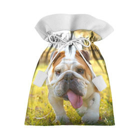 Подарочный 3D мешок с принтом Funny Dog в Тюмени, 100% полиэстер | Размер: 29*39 см | dog | английский бульдог | пес | собака