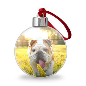 Ёлочный шар с принтом Funny Dog в Тюмени, Пластик | Диаметр: 77 мм | dog | английский бульдог | пес | собака