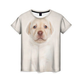 Женская футболка 3D с принтом Лабрадор в Тюмени, 100% полиэфир ( синтетическое хлопкоподобное полотно) | прямой крой, круглый вырез горловины, длина до линии бедер | Тематика изображения на принте: dog | labrador | puppy | порода | собака | собачка | щенок