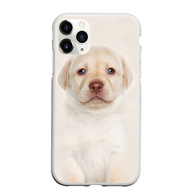 Чехол для iPhone 11 Pro матовый с принтом Лабрадор в Тюмени, Силикон |  | dog | labrador | puppy | порода | собака | собачка | щенок